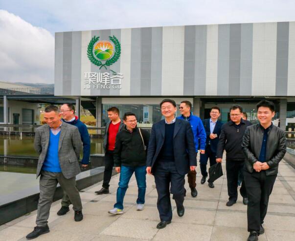 集团党委书记、董事长任丁率队调研聚峰谷