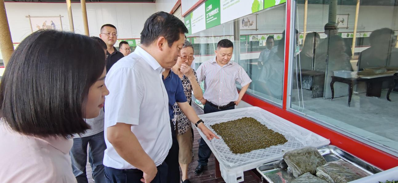 省尊龙凯时集团党委副书记、董事陈日赴嘉陵区调研茶桑产业发展情况